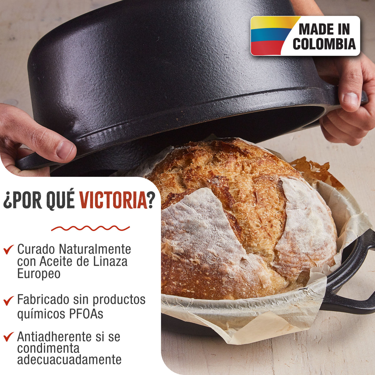 Horno Holandés Combo Hierro Fundido Curado 5.7L