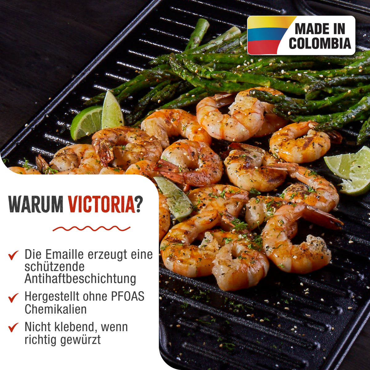 Wendbare Grillplatte Emaillierte Gusseisen 50x35 cm