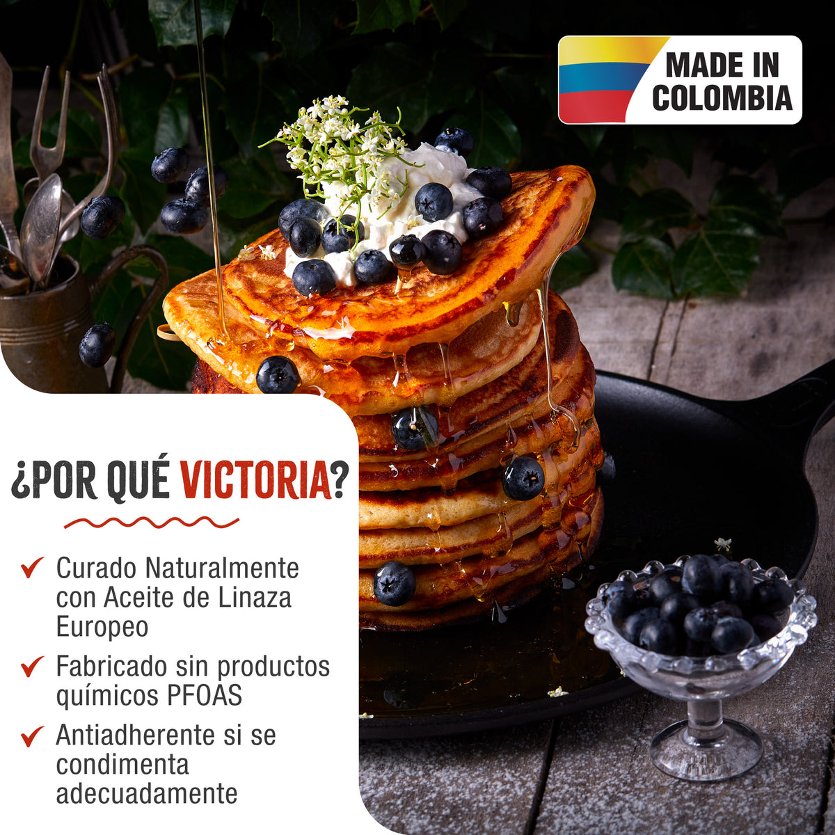 Plancha Comal Hierro Fundido Curado Ø 30cm