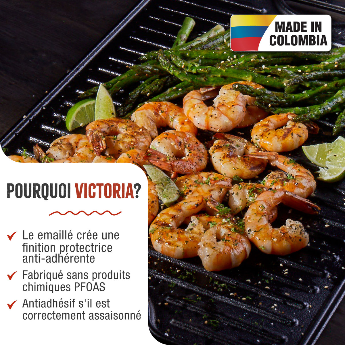 Plaque à Griller Réversible en Fonte Émaillée 47×25 cm